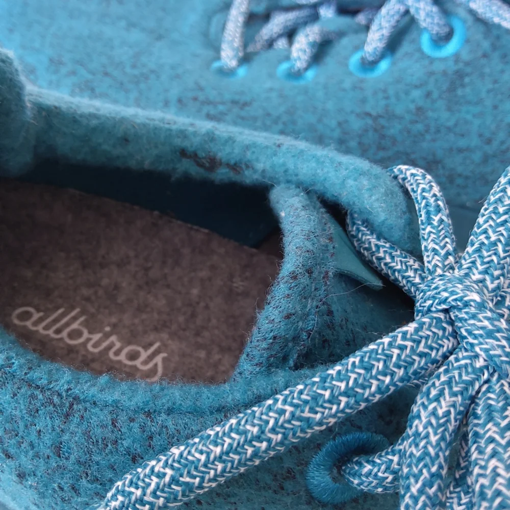 Allbirds women's green wool sneakers